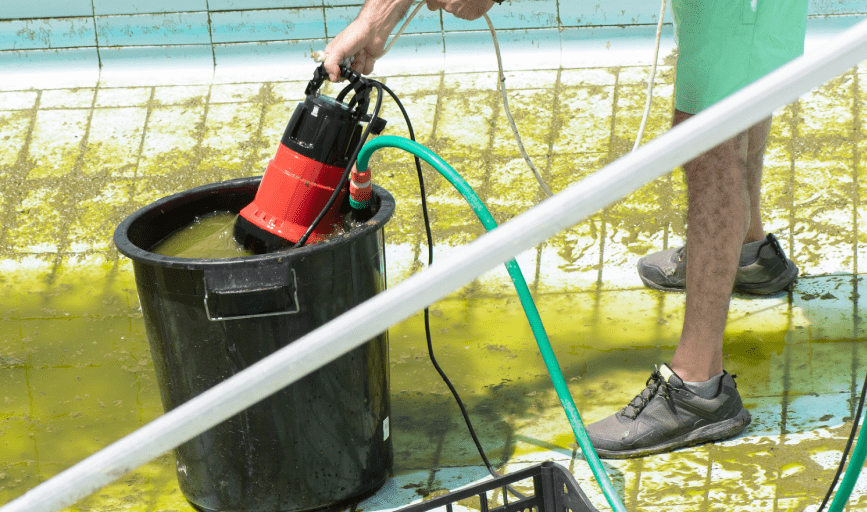 ALGAE REMOVAL